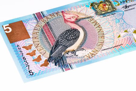 5 Surinamese gulden bank note. Gulden is the former currency of Suriname