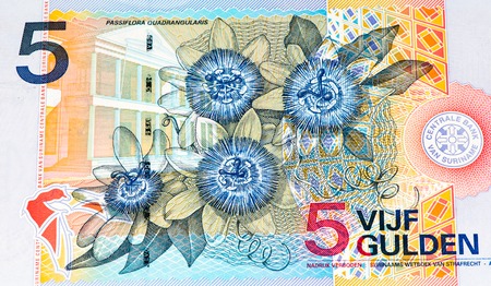 5 Surinamese gulden bank note. Gulden is the former currency of Surinameの写真素材