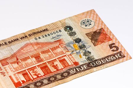 5 Surinamese dollar bank note. Surinamese dollar is the national currency of Surinameの写真素材