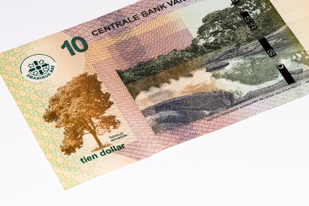 10 Surinamese dollar bank note. Surinamese dollar is the national currency of Surinameの写真素材