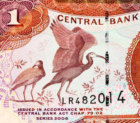 1 Trinidad and Tobago dollar bank note. Trinidad and Tobago is the national currency of this country