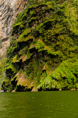 Rock formations similar to  a fair tree, Sumidero Canyon National Park, Chipas, Mexico.の写真素材