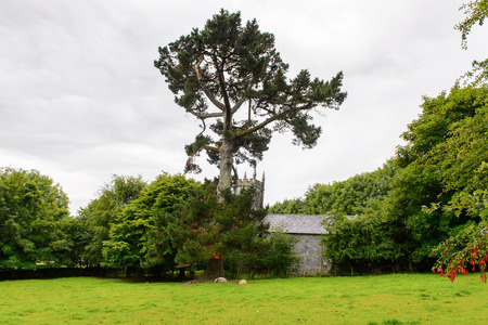 Nature of Bunratty village (End of the Raite river) is an authentic small village in County Clare, Irelandの写真素材