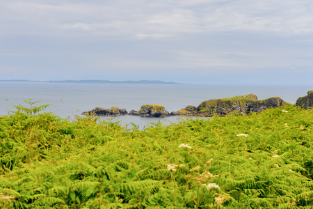 Carrick-a-Rede, Causeway Coast Route, National Trust. Northern Irelandの写真素材