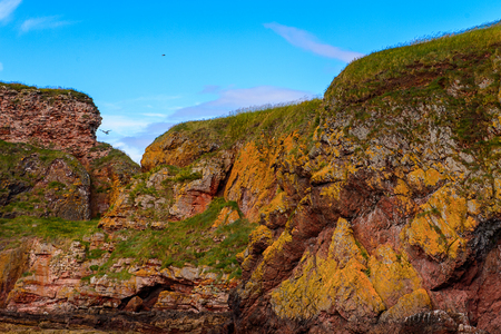 North Sea coastの写真素材