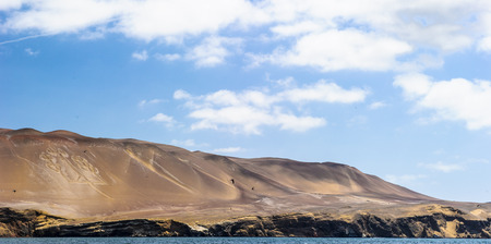 Ballestas islands, Peru South Americaの写真素材
