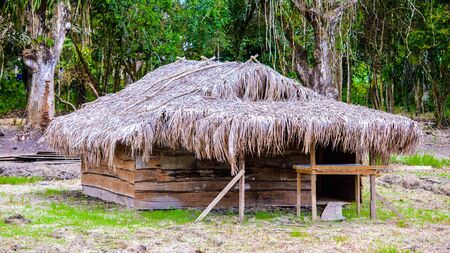 Architecture and nature of Nieuw Amsterdam, Surinameの写真素材