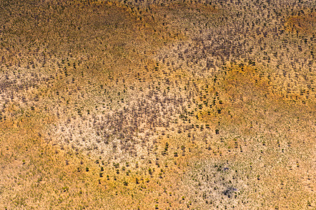 Aerial view Botswanaの写真素材