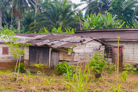 Almost destroyed houses in jungle of Cameroon where people liveの写真素材