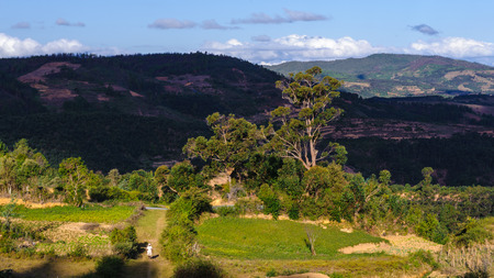Beautiful sight of the nature of Madagascarの写真素材