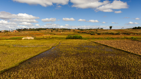 Blue sky and panorama of Madagascarの写真素材