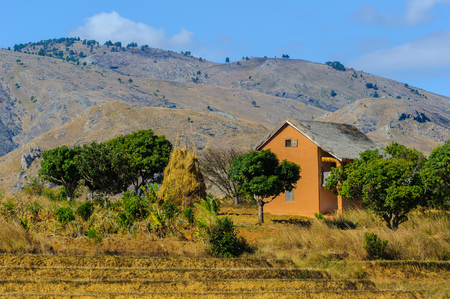 Trees, mountain and a houseの写真素材