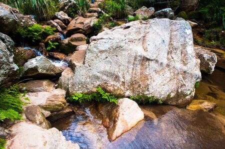 Water creek in Madagascar, Africaの写真素材