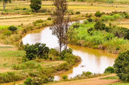 Small river in Madagascarの写真素材