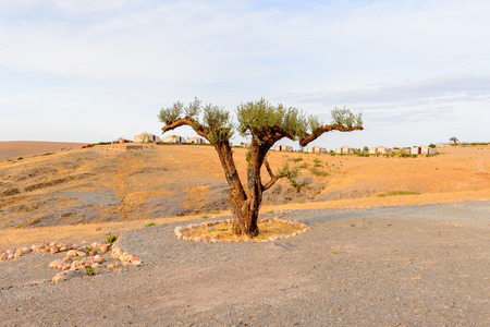 Desert Terre des Etoiles, Moroccoの写真素材