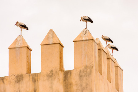Architecture of Fez, the second largest city of Morocco. Fez was the capital city of modern Morocco until 1925 andの写真素材