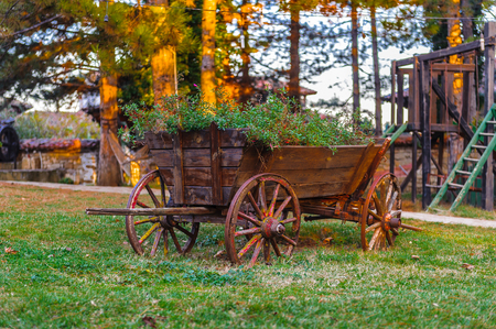 Small wooden wheel carriage with the plants inside on the grass in the villageの写真素材