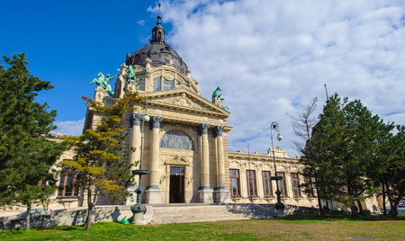 Szechenyi Medicinal Bath in Budapest, Hungary, is the largest medicinal bath in Europe. The bath can...