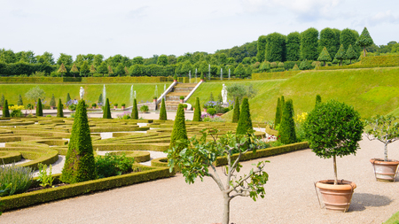 Nice park full of decorative plantの写真素材