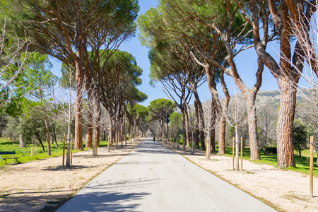 Park in Escorial, Spainの写真素材