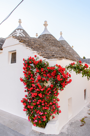 Architecture of Alberobello, a small town in Apulia, Italy. Famous for its unique trulli buildings.の写真素材