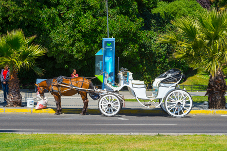 VINA DEL MAR, CHILE - NOV 9, 2014: Horse carriage in Vina del Mar, Chile. Vina del Mar is one of the most populat touristic destinations in Chile.のeditorial素材