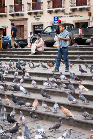 QUITO, ECUADOR - JAN 2, 2015: Unidentified Ecuadorian boy feeds pigeon. 71,9% of Ecuadorian people belong to the Mestizo ethnic groupのeditorial素材