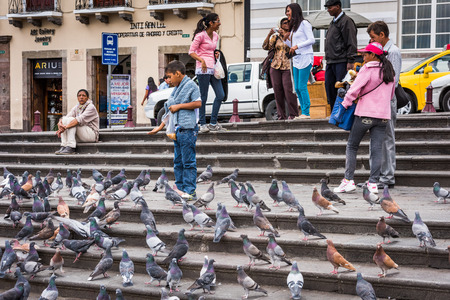 QUITO, ECUADOR - JAN 2, 2015: Unidentified Ecuadorian boy feeds pigeons. 71,9% of Ecuadorian people belong to the Mestizo ethnic groupのeditorial素材