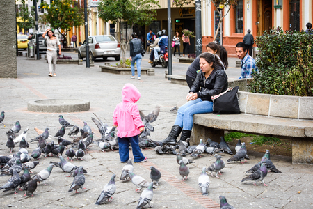 CUENCA, ECUADOR - JAN 9, 2015: Unidentified Ecuadorian girl plays with pigeons. 71,9% of Ecuadorian people belong to the Mestizo ethnic groupのeditorial素材