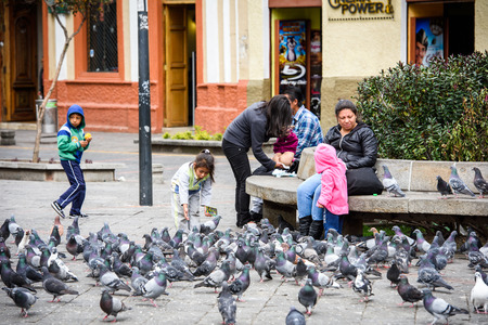 CUENCA, ECUADOR - JAN 9, 2015: Unidentified Ecuadorian girl plays with pigeons. 71,9% of Ecuadorian people belong to the Mestizo ethnic groupのeditorial素材