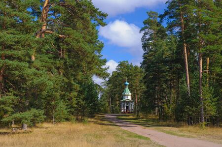 Small church in the woodの写真素材