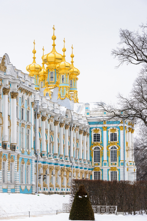 The Catherine Palace in winter and a fir tree, a Rococo palace located in the town of Tsarskoye Selo (Pushkin), 25 km south-east of St. Petersburg, Russia.のeditorial素材