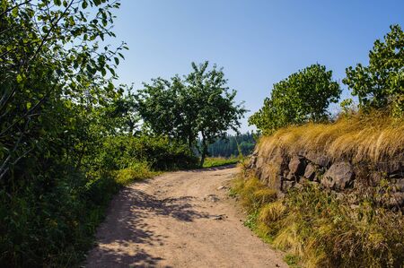 Beautiful nature of the sunny summer day in Russiaの写真素材