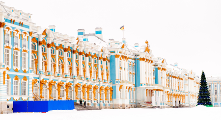 The Catherine Palace in winter and a fir tree, a Rococo palace located in the town of Tsarskoye Selo (Pushkin), 25 km south-east of St. Petersburg, Russia.のeditorial素材