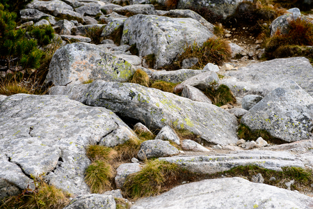 High Tatra Mountains (Vysoke Tatry) a mountain range along the border of Slovakia and Polandの写真素材