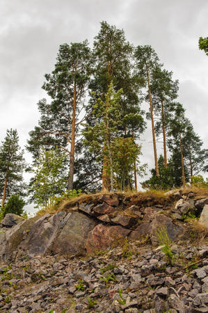 Nature of Finlandの写真素材