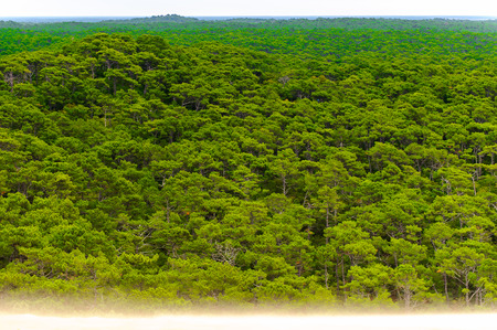 Beautiful view of the Dune of Pilat (Grande Dune du Pilat), the tallest sand dune in Europe.