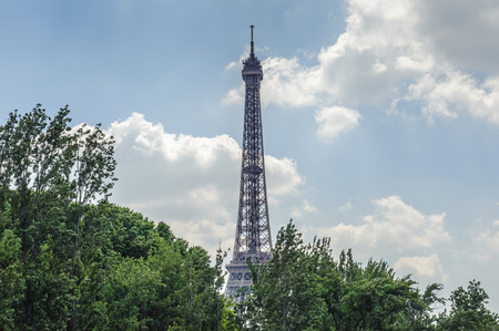 The Eiffel tower over the trees