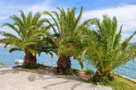 Nature of Croatia, mountains and Adriatic Seaの写真素材