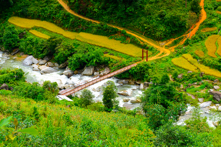 Rice terraces in Northern Vietnamの写真素材