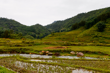 Village Ta Phin in Northern Vietnamの写真素材