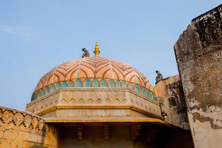 Monkeys onver the Amber Palace in Jaipur, Indiaのeditorial素材