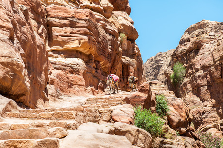 Rock and nature in Petra (Rose City), Jordan. The city of Petra was lost for over 1000 years. Now one of the Seven Wonders of the Wordの写真素材