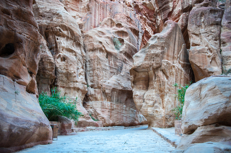 Canyon in Petra (Red Rose City). The city of Petra was lost for over 1000 years. Now one of the Seven Wonders of the Wordの写真素材