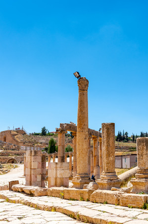 Columns of the cardo maximus, Ancient Roman city of Gerasa, modern Jerash, Jordanの写真素材