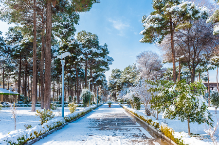 Garden of the Chehel Sotoun (Forty Columns Palace), Isfahan, Iran. UNESCO World Heritage Siteのeditorial素材