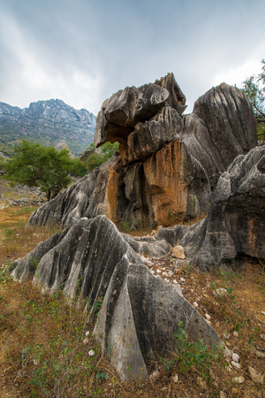 Rock formations on the Soqotra Island, Yemenの写真素材