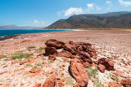 Rocks and other formations of th Socotra Islandの写真素材