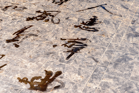 Hieroglyphs at the Temple of Heaven complexの写真素材