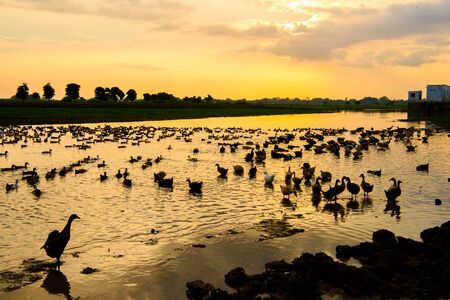Temple on the coast of the Taungthaman Lake, Myanmarの写真素材